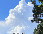 陆河天气预报,陆河7天天气预报,陆河15天天气预报,陆河天气查询